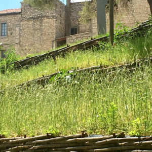 Jardín arqueológico - Nimes - Musée de la Romanité