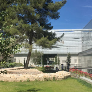 vue du jardin archéologique - Musée de la Romanité - Nîmes