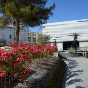 vue de la façade du musée depuis le jardin avec fleurs au premier plan