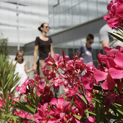 RDV_jardins_visite