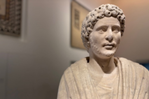 Zoom visage oeuvre togatus