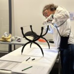 Montage exposition temporaire "Gaulois, mais Romains !"