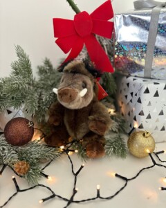 Peluche sanglier Paupiette