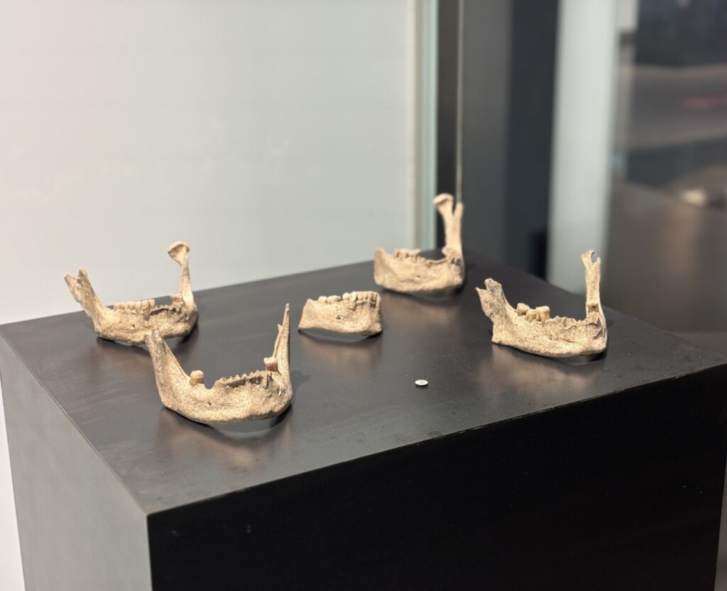 Visite guidée entre plume et truelle